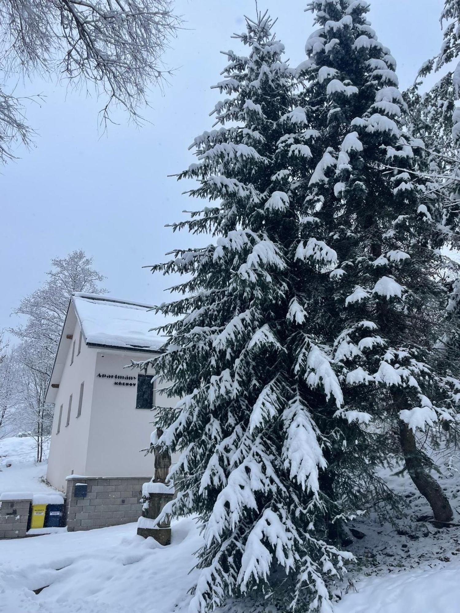 Apartmany Krenov Bernsdorf Exterior photo